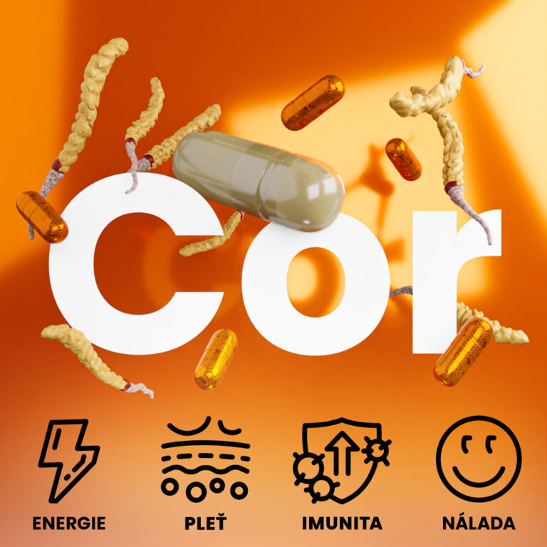Cordyceps